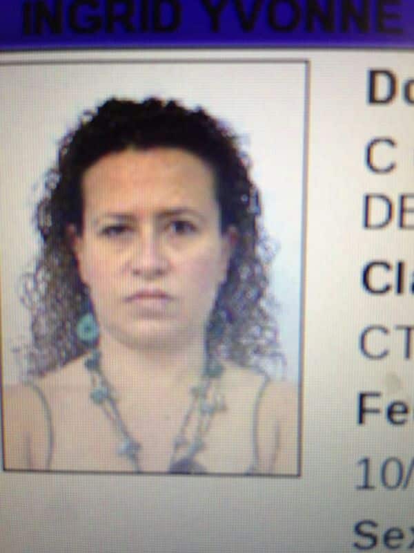 DETECTIVES DEFRAUDADORES