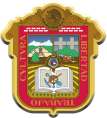 DETECTIVES INVESTIGADORES EN ESTADO DE MÉXICO