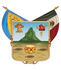 DETECTIVES INVESTIGADORES EN HIDALGO
