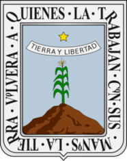 DETECTIVES INVESTIGADORES EN MORELOS