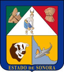 DETECTIVES INVESTIGADORES EN SONORA