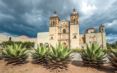 DETECTIVES EN OAXACA